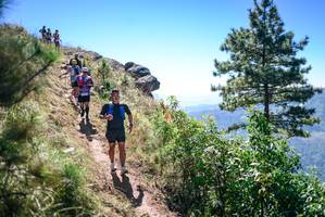 BIB: 
                            <button type="button" onclick="openModal(26606759)" class="btn btn-primary btn-sm float-right btn-popup" data-toggle="modal" data-target=".modal-high-quality">
                        <i class="fas fa-shopping-cart"></i> Add to Cart
                    </button>
                                            <button type="button" onclick="isThisMe(26606759, true)" class="btn btn-success btn-sm float-right btn-popup btn-isme hidden" data-toggle="tooltip" data-placement="bottom" title="นี่คือรูปของคุณใช่ไหม คลิกที่นี่เพื่อเอาเข้าอัลบั้ม">
                        <i class="fas fa-plus"></i> Add to album
                    </button>
                    <button type="button" onclick="isThisMe(26606759, false)" class="btn btn-warning btn-sm float-right btn-popup btn-isnotme hidden">
                        <i class="fas fa-ban"></i> Remove from album
                    </button>